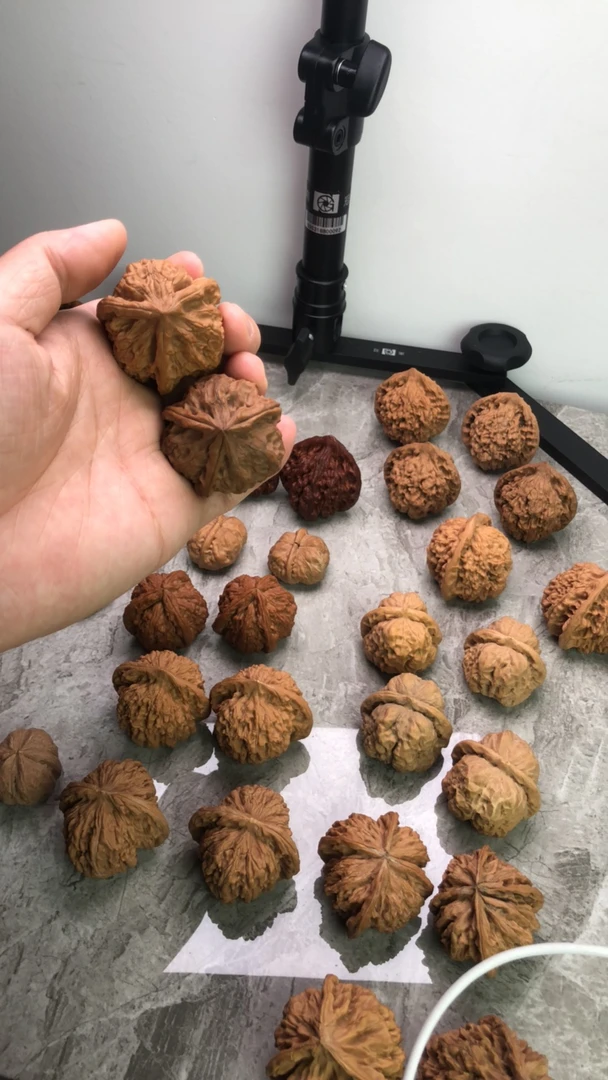 40三棱人奔，球形全品核桃