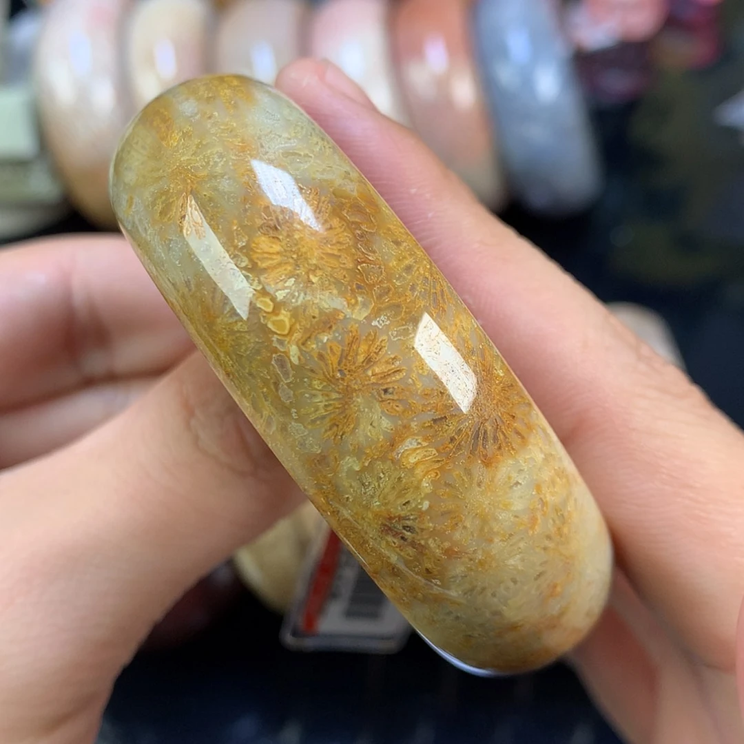 【闪购商品】颈饰未镶嵌硅化珊瑚（珊瑚玉）56号53.9圈双面大花