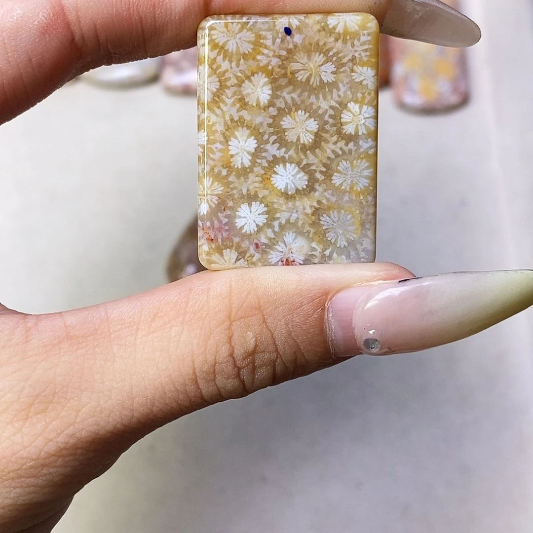 查罗石合金颈饰麦*