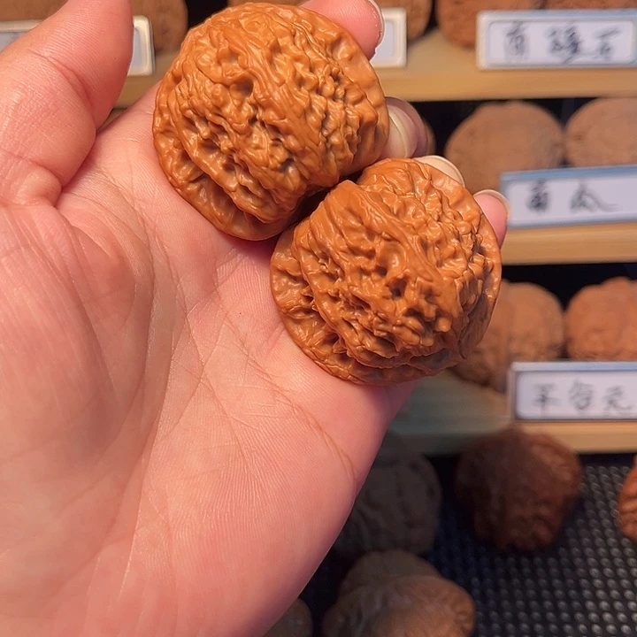 核桃42白狮子。