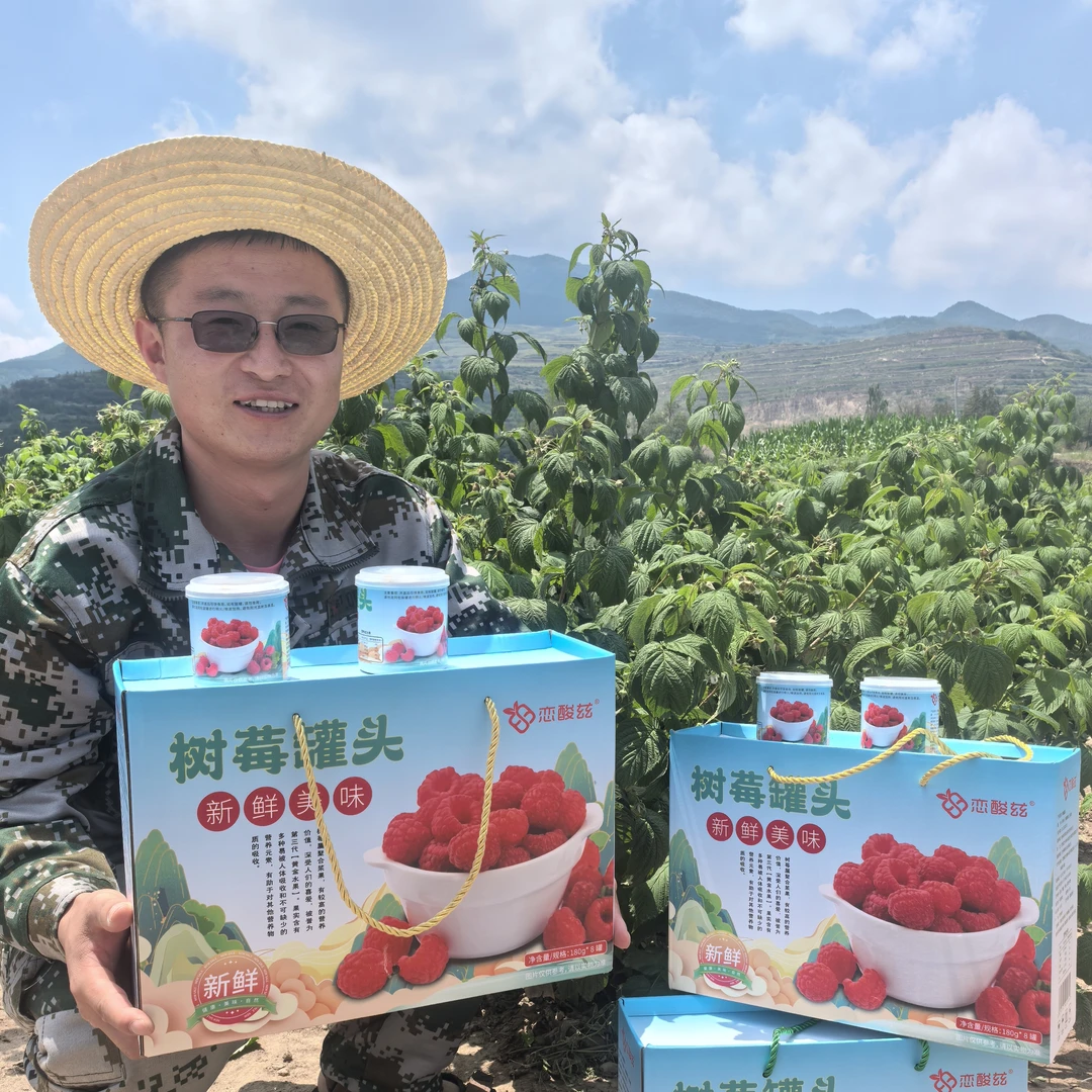来自兰州高原的树莓罐头覆盆子鲜果制作鲜甜可口男女朋友爱吃