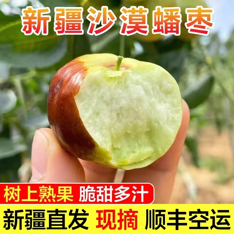 沙漠蟠枣精品礼盒装现摘现发脆甜多汁