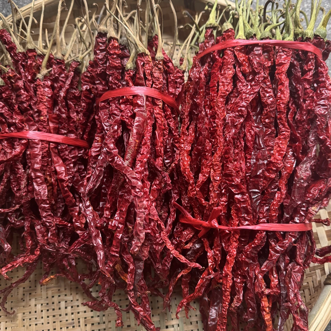 贵州高山种植皱椒干辣椒微辣特香炒菜必备食材
