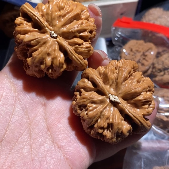 满***意文玩核桃把件全品粗筋