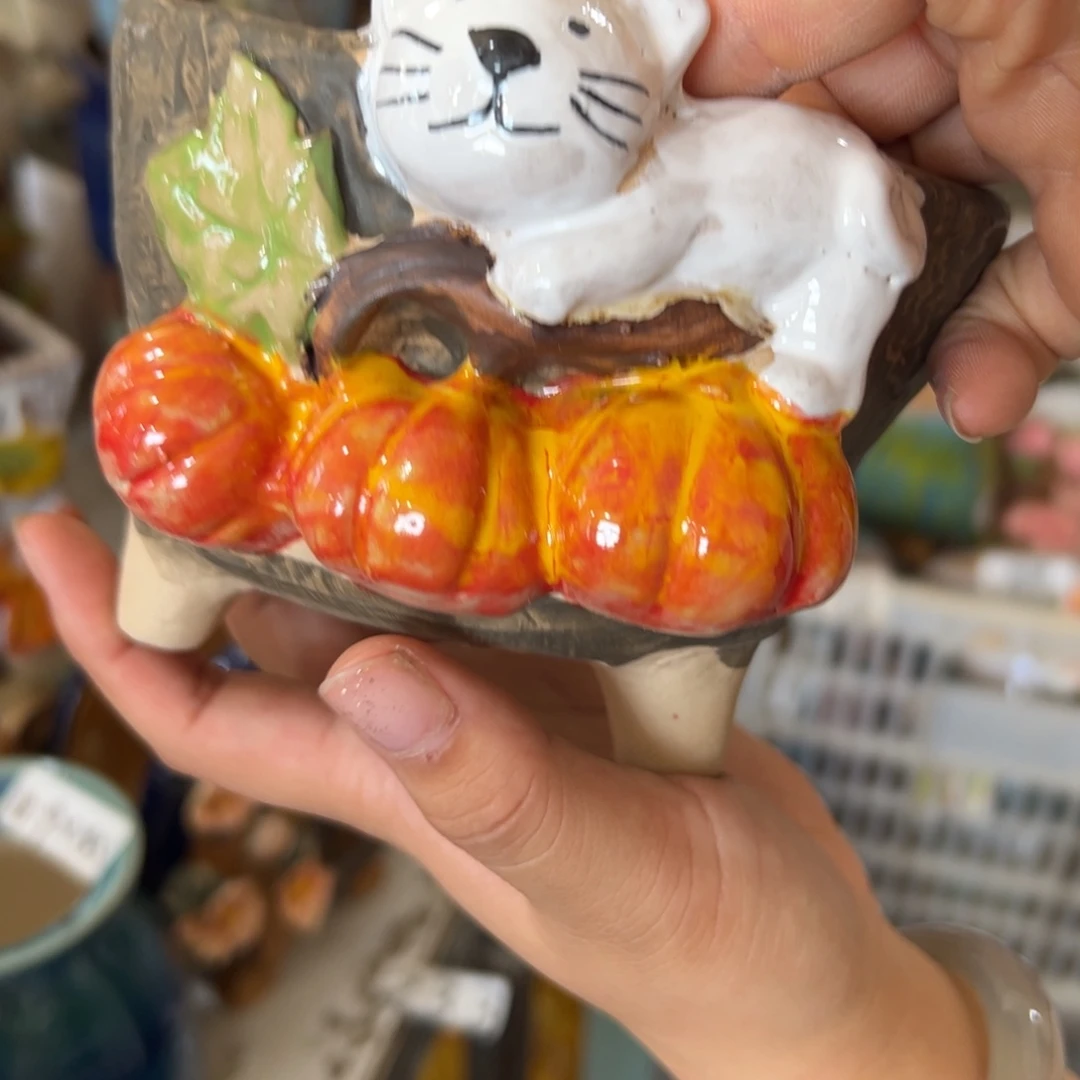 花盆，满20米发货，爱退款拉黑