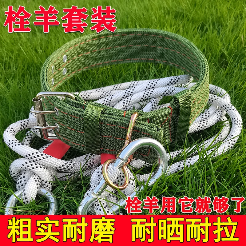 栓羊套装栓羊专用绳羊脖套颈圈栓羊用羊绳子羊项圈牵羊用牵羊绳