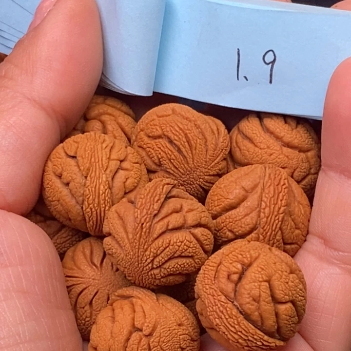 秦岭龙纹桃核14颗