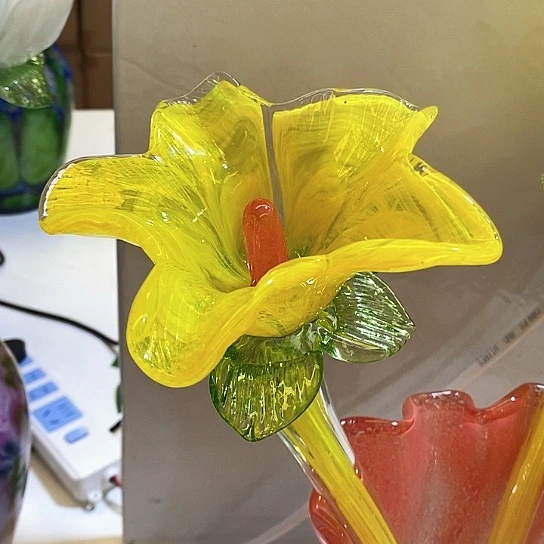 夜光花高45厘米宽10厘米