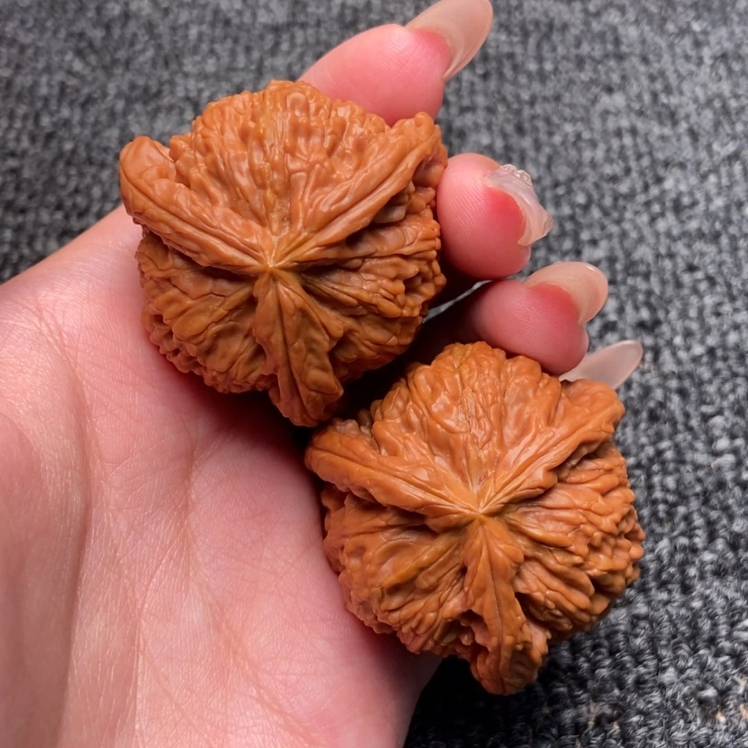 H***r木质类白狮子正奔