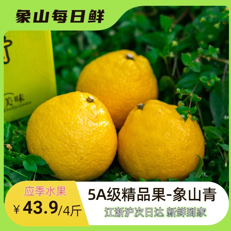 【顺丰次日达】大果-净重4斤-高品质5A级精品果正宗象山青原产地直发脆甜多汁