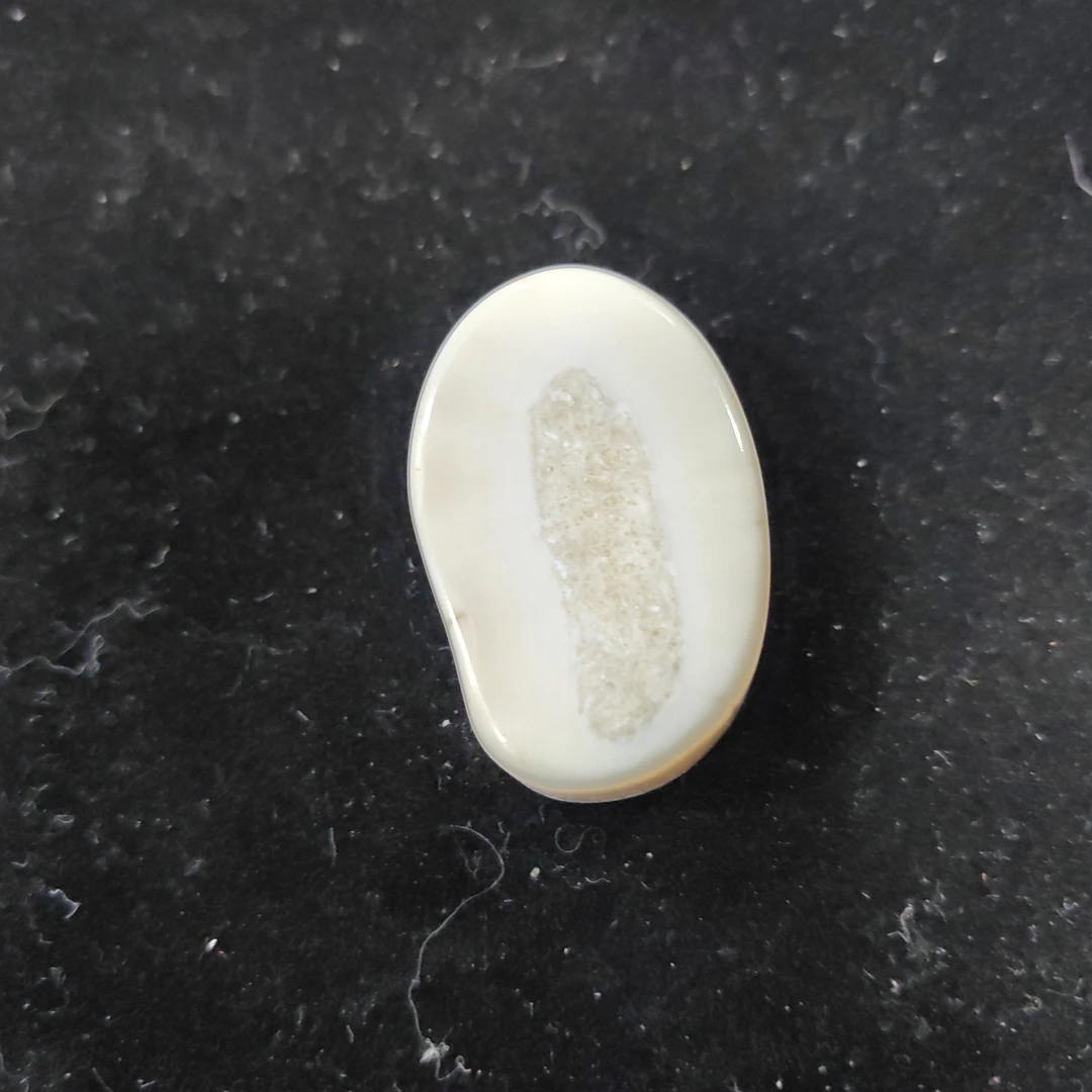 猛犸猛犸虬饼子WT643