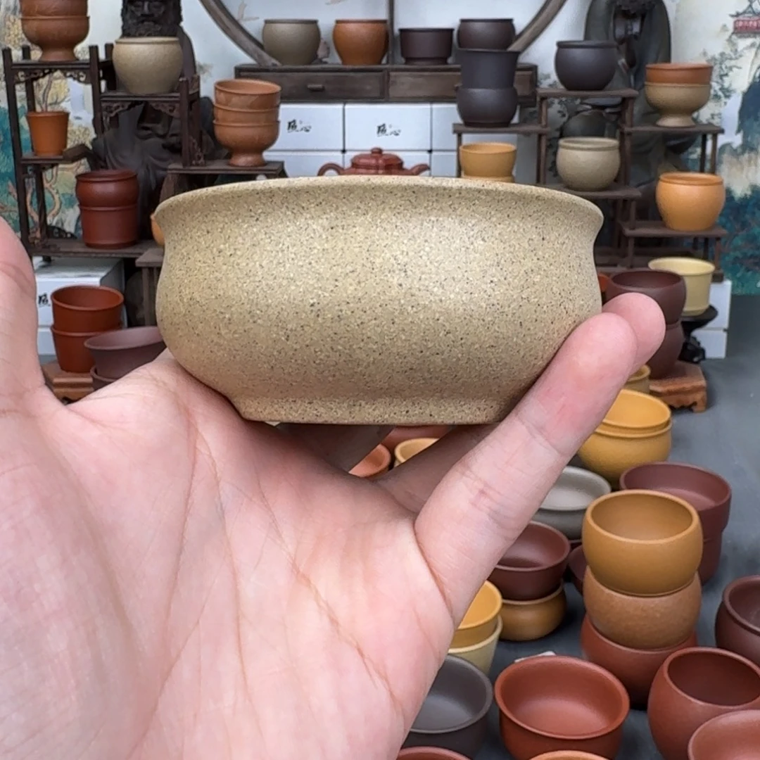 茶杯紫砂526455644524856