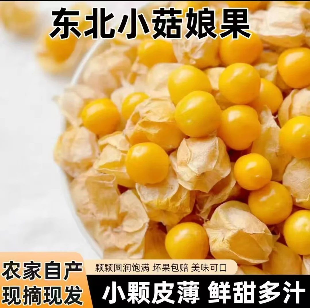 顺丰包邮东北姑娘果灯笼果香甜多汁新鲜水果产地直发