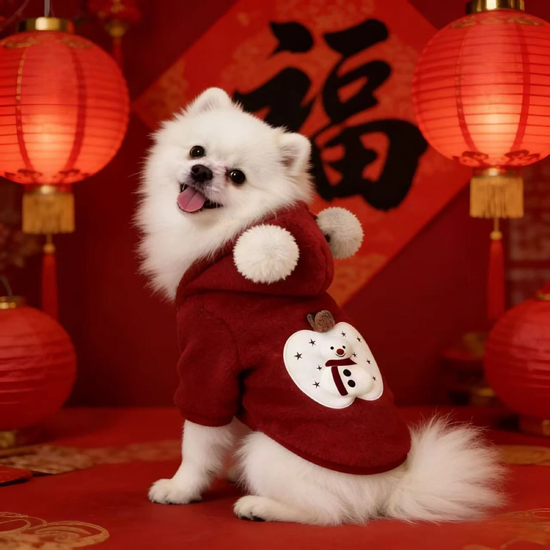 狗狗过年衣服新年红可爱连帽卫衣小型犬比熊博马尔泰迪保暖两脚衣
