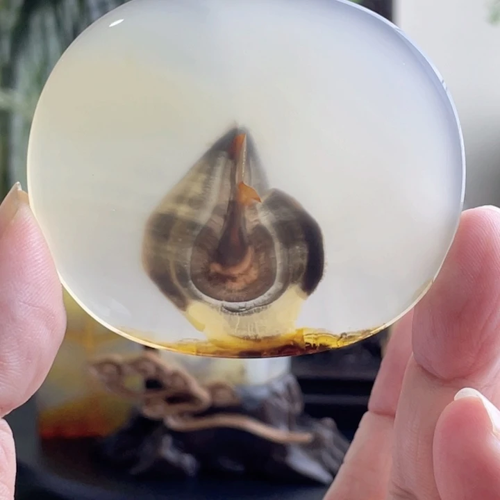 焦***8未镶嵌玛瑙/玉髓珠宝半成品