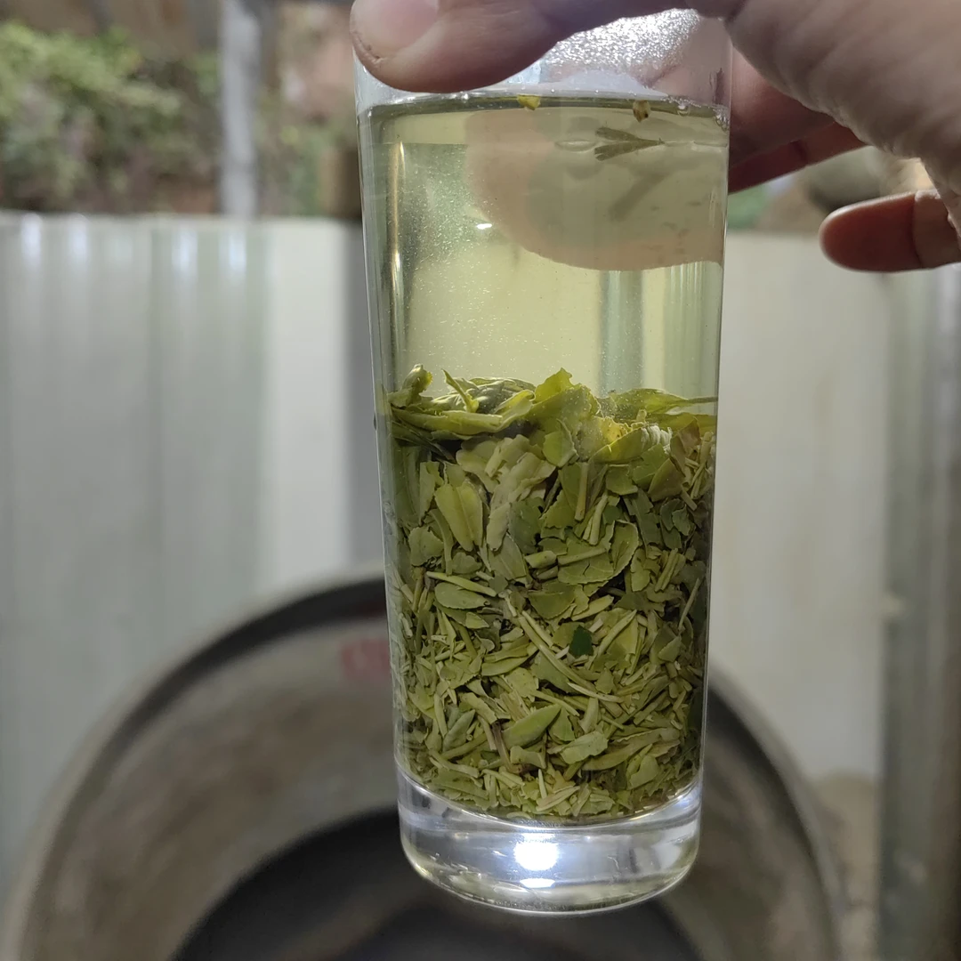 2025纯手工炒制老旱茶品种信阳毛尖雨前后期茶碎香浓耐泡