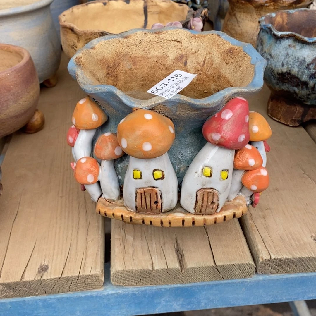 可*林116号多肉盆口径13