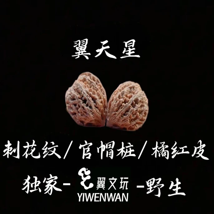 【翼天星】e天星文玩核桃独家小众可盘玩精品
