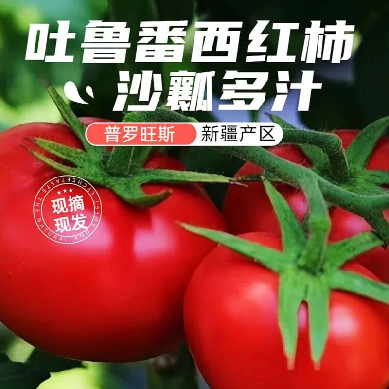 新疆吐鲁番普罗旺斯沙瓤西红柿新鲜蔬菜番茄5斤顺丰京东包邮