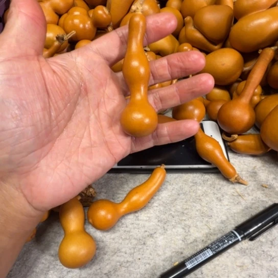 伽****伽罗的一把杆子一把杆子火炉伽罗的