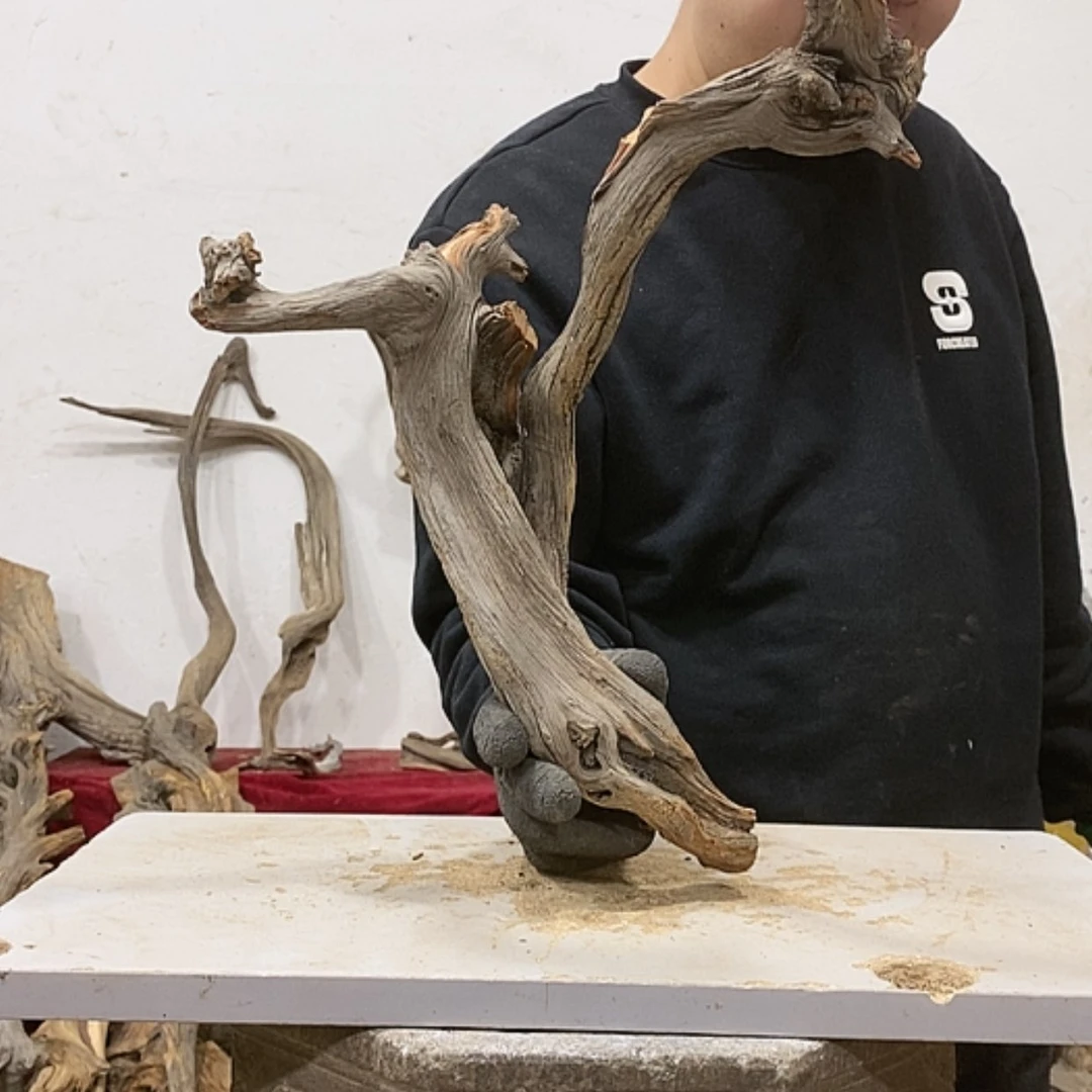 【闪购商品】柏木用****0我们都是好孩子