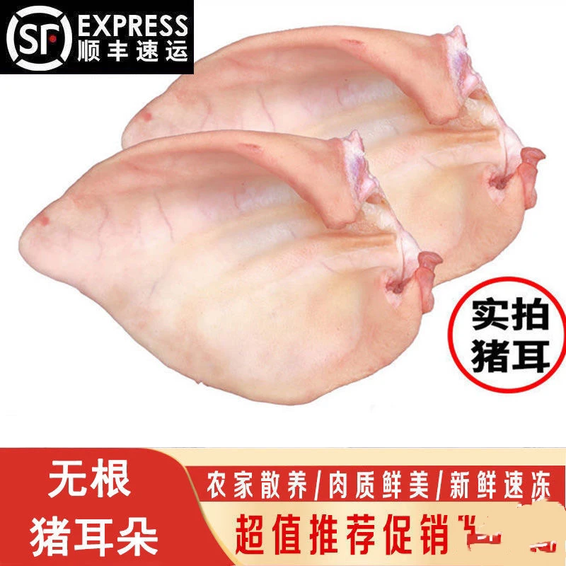 【新店开业】无根猪耳片新鲜猪耳朵鲜冻猪耳片速冻耳叶麻辣卤味食材