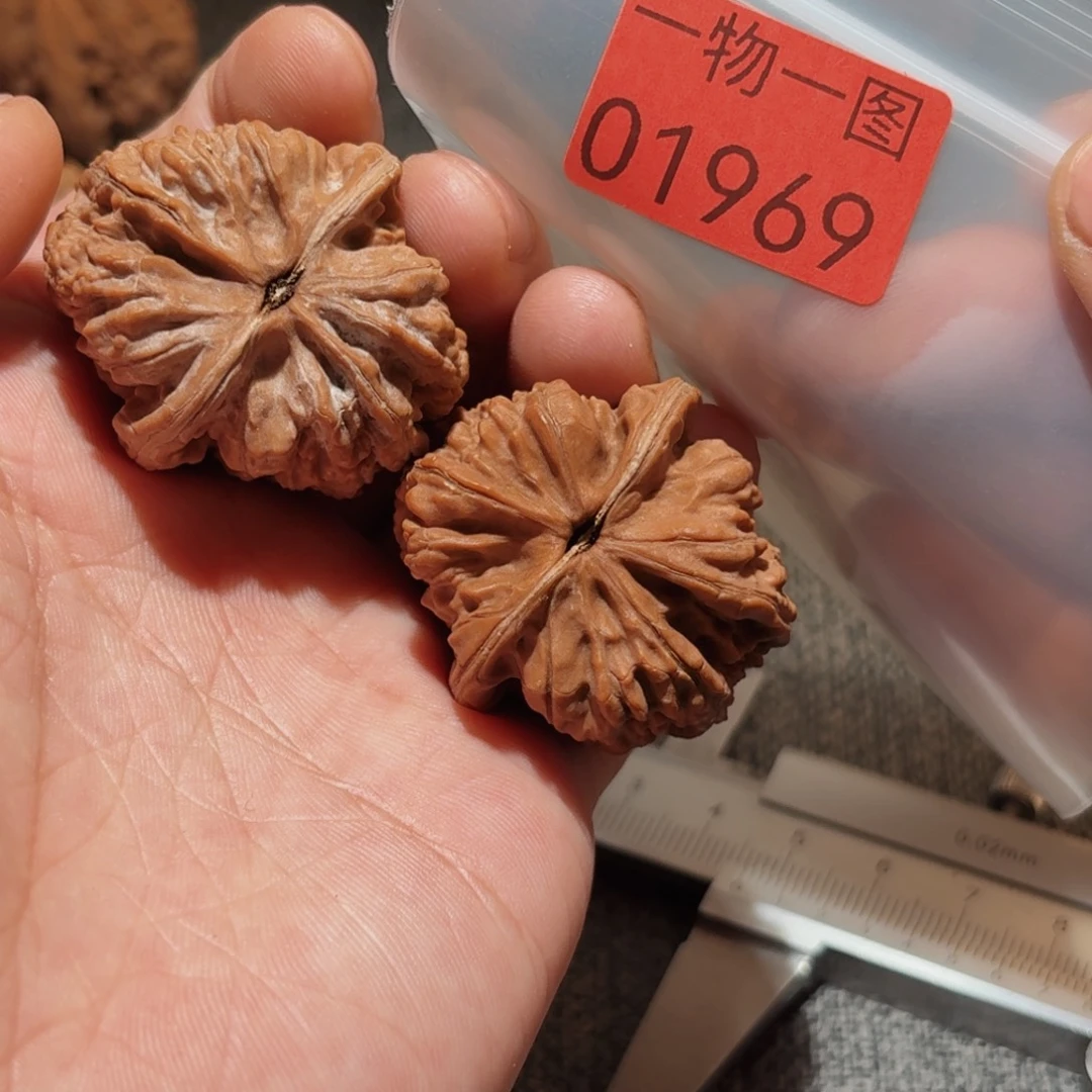 文玩核桃把件赤龙