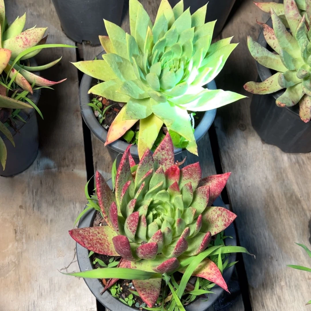 3284哈哈哈哈哈哈哈