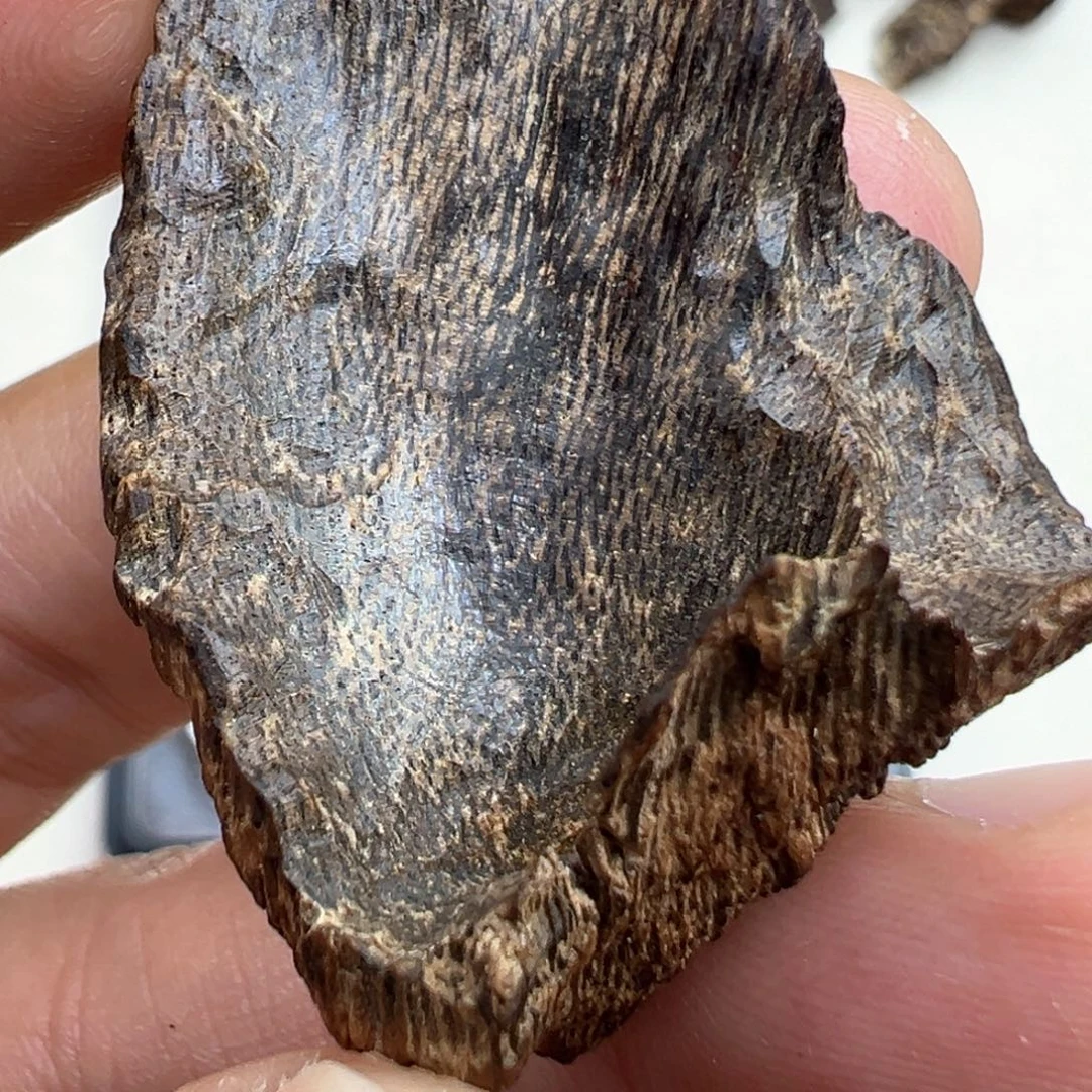 ****L沉香沉香碎屑海南尖峰岭沉水包头3.06g