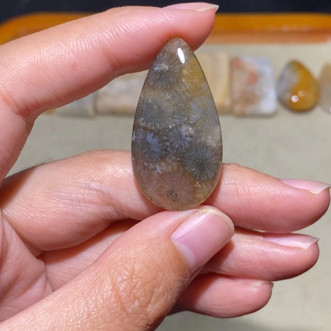 【闪购商品】硅化玉颈饰未镶嵌