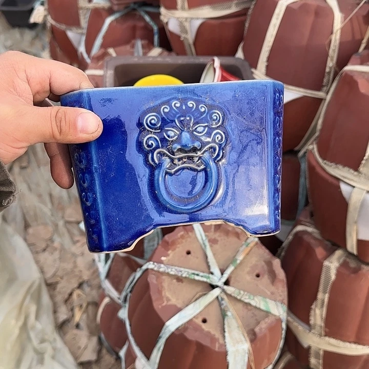 一起走出这黑暗中有我想做得人啊