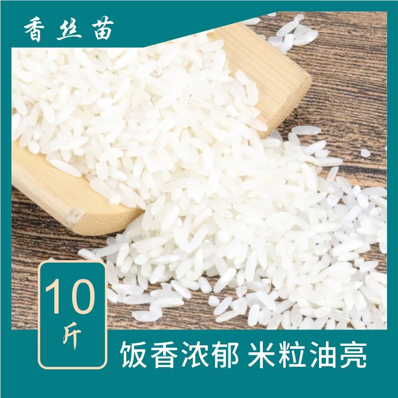 农家米长粒丝苗米煮饭煮粥清香口感软糯适合煲仔饭和蛋炒饭