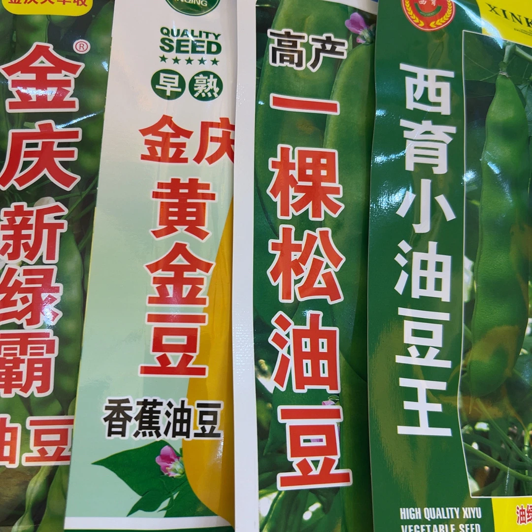 小油豆，黄油豆，新绿霸，一棵松种子