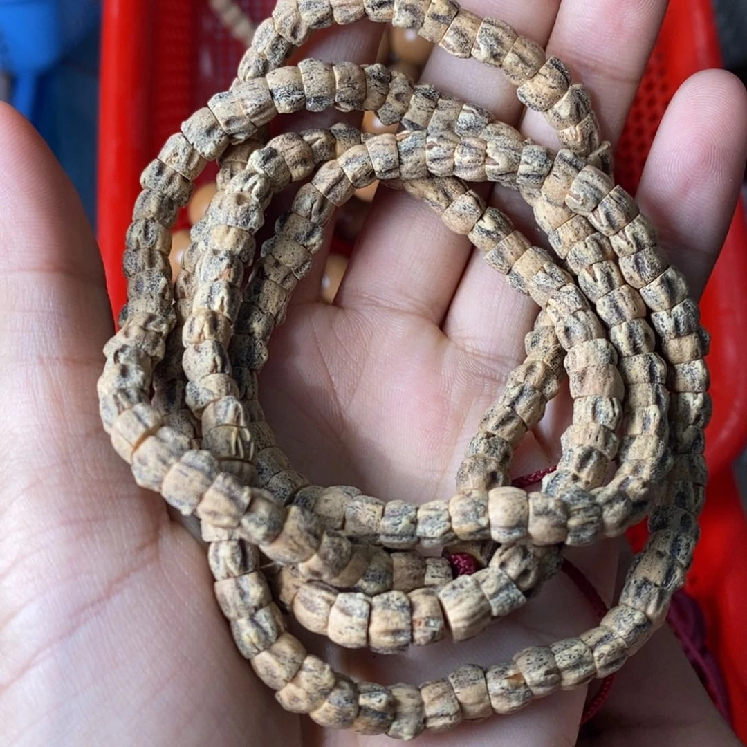 柏香籽/百香籽吊坠红牙大肠