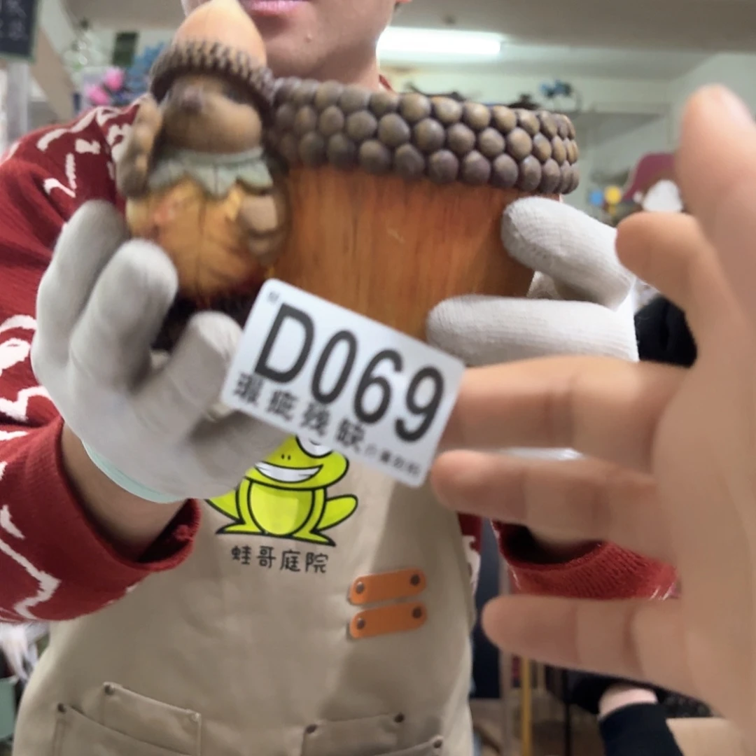 核桃木/黑胡桃（胡桃木）