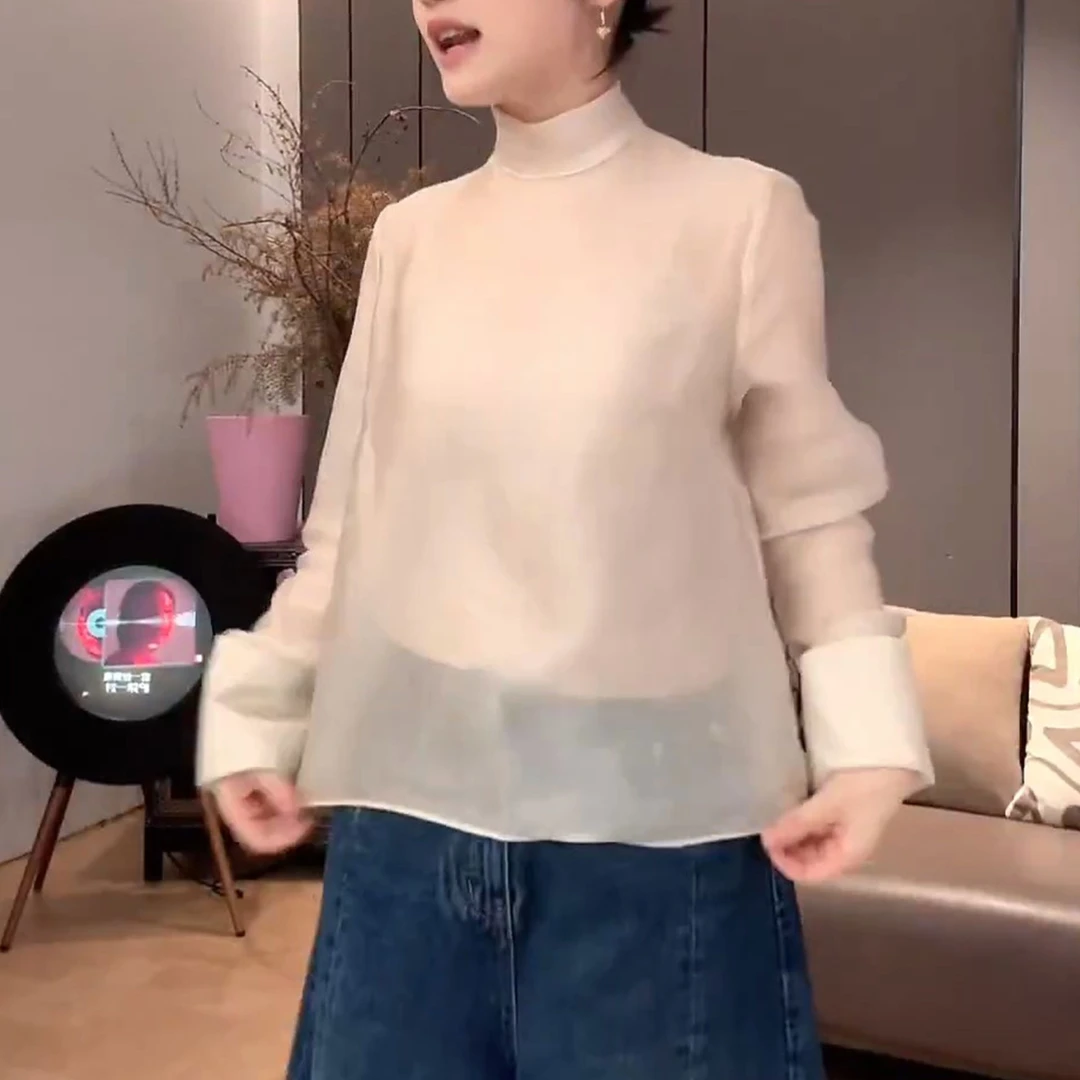 2025秋季新款设计款拼接长袖打底衫女国风宽松气质立领微透T恤潮