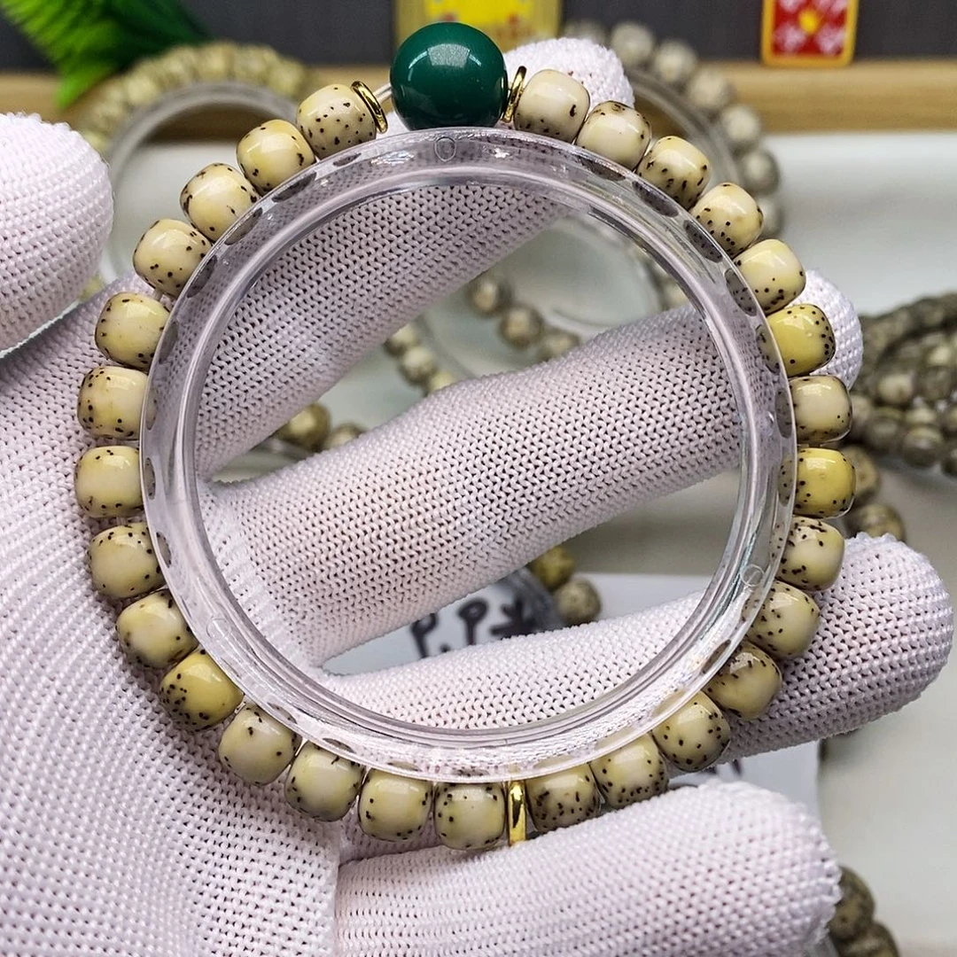 8x7绿背河豚原生态