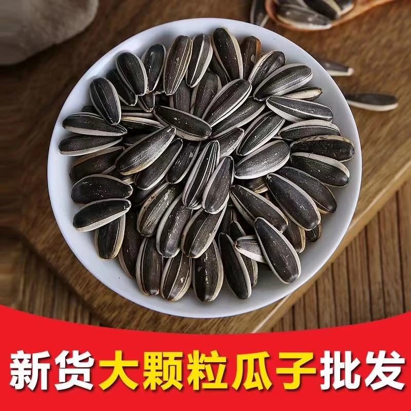 【到手2斤】24年新货内蒙新鲜炒熟原味大颗粒新货瓜子葵花籽