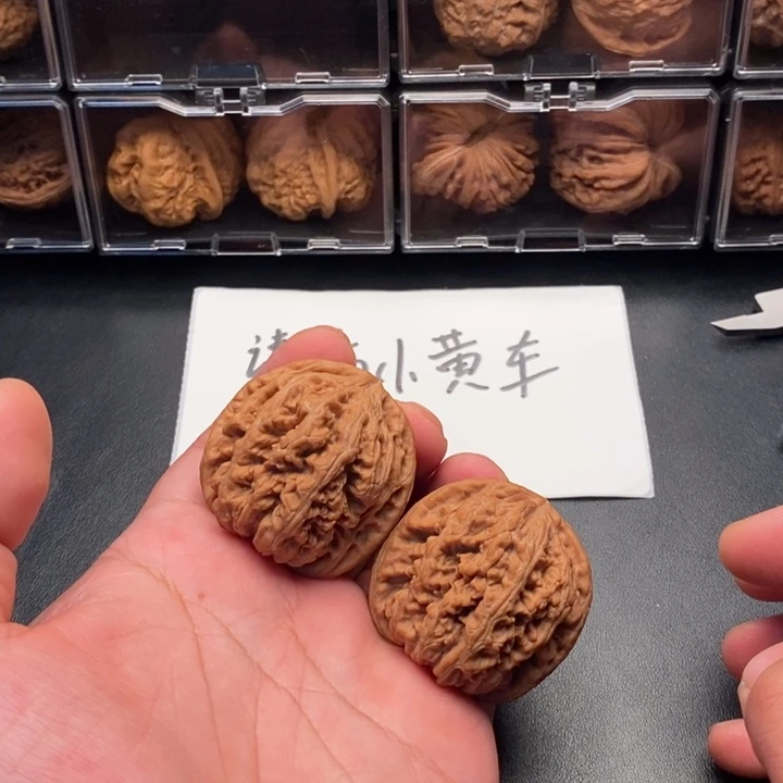 44+ 43 44全品粗筋