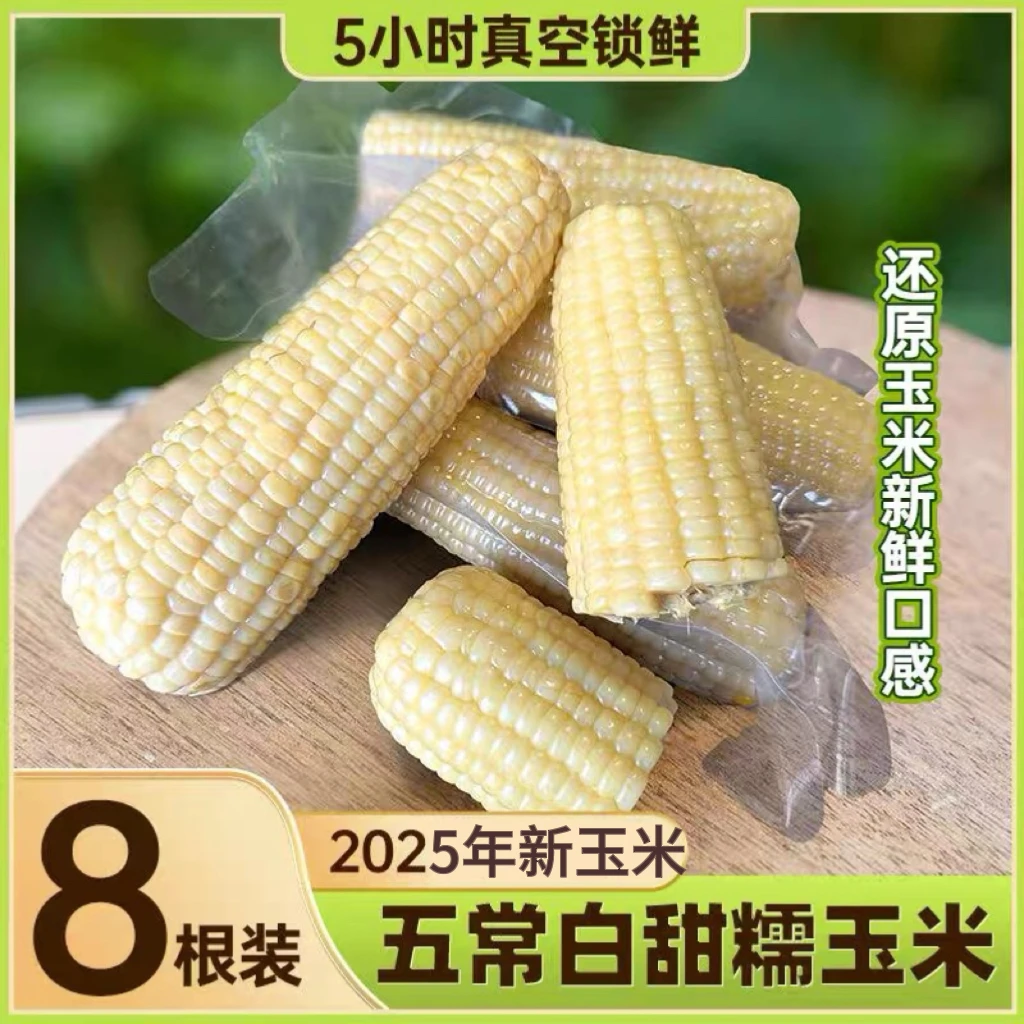 2025年五常 白/黄玉米 新鲜甜玉米 真空 八分熟