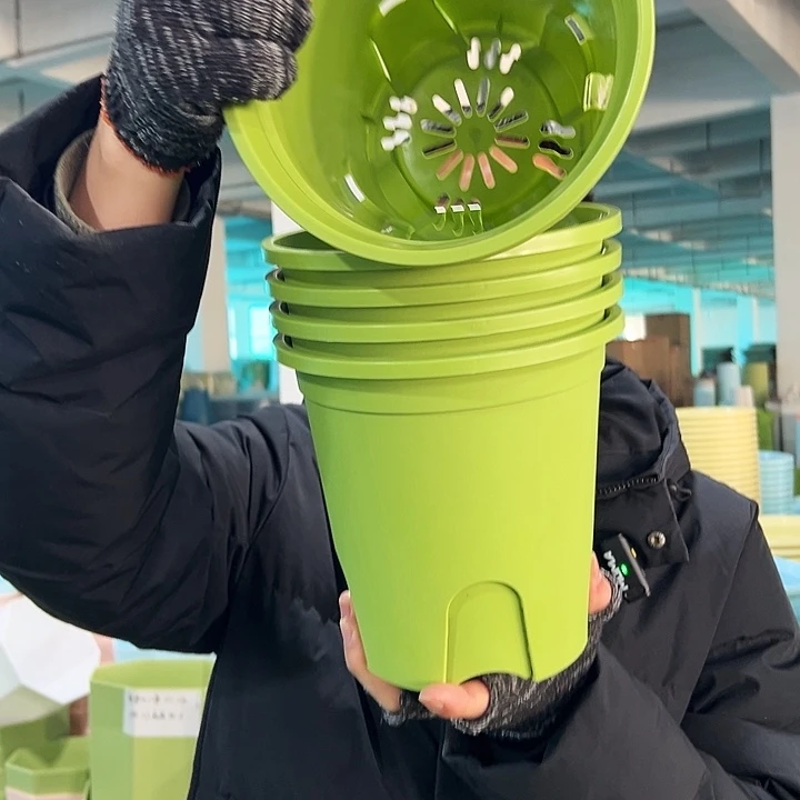 特价圆控口18高18果绿无托5只