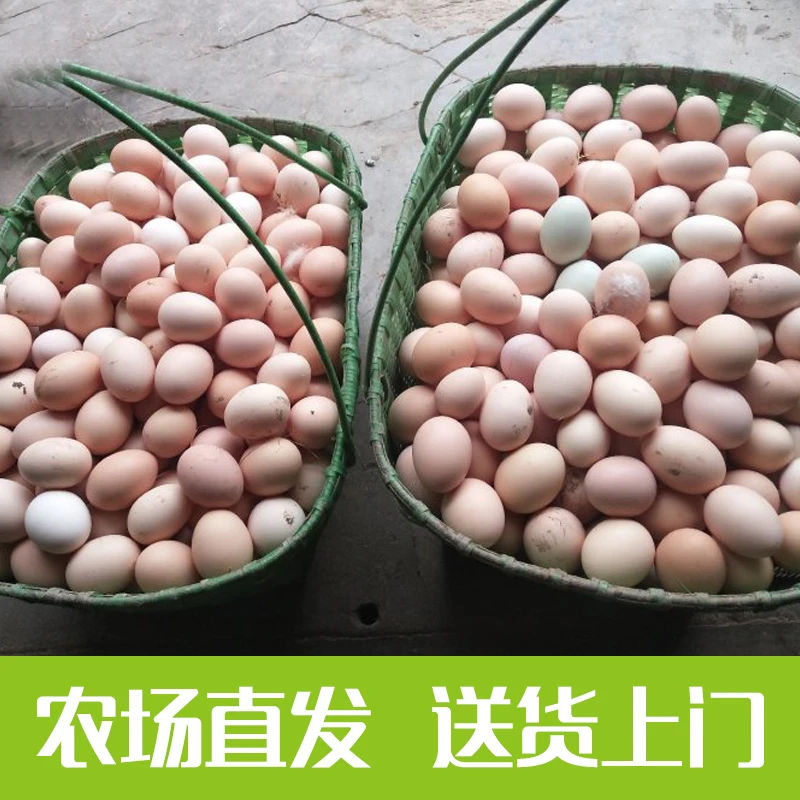100枚散养土鸡蛋50枚 皖南老母鸡粮食喂养笨鸡蛋农场草鸡蛋正宗