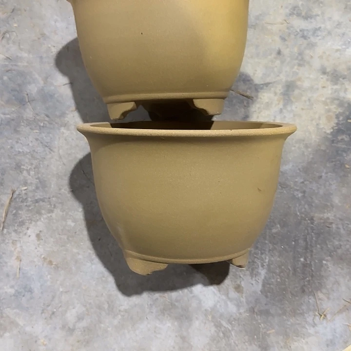 无***声19×12两只黄段泥