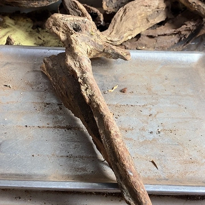 黄花梨/降香黄檀自****。