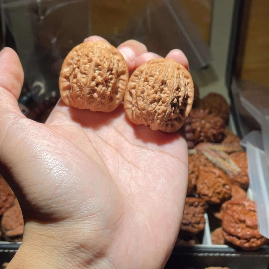 烤***面37尺寸全品无修血麒麟