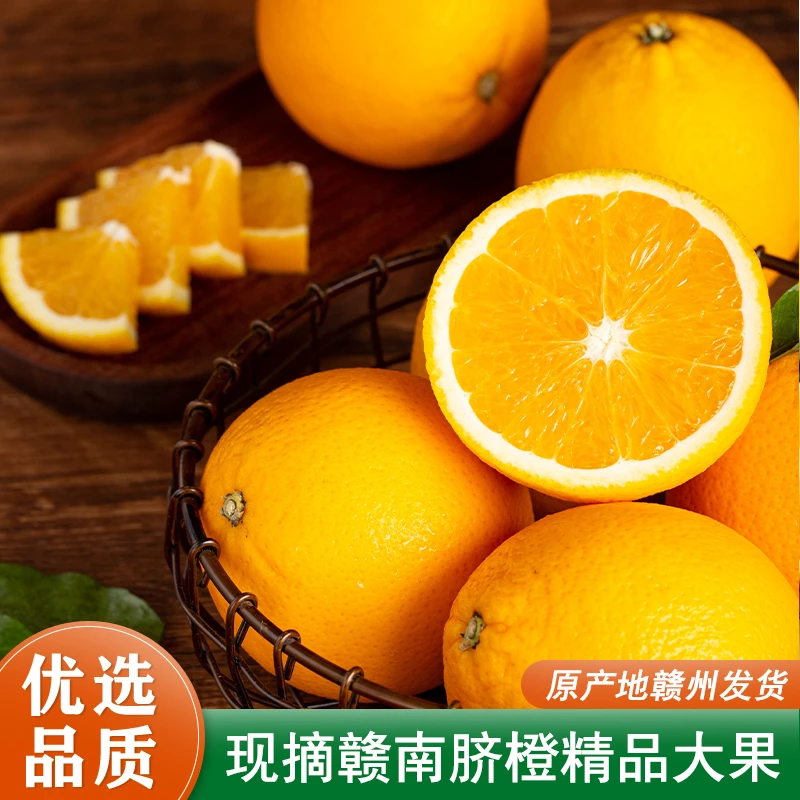 正宗赣南脐橙江西脐橙当季水果橙子橙子新鲜赣南脐橙 LY
