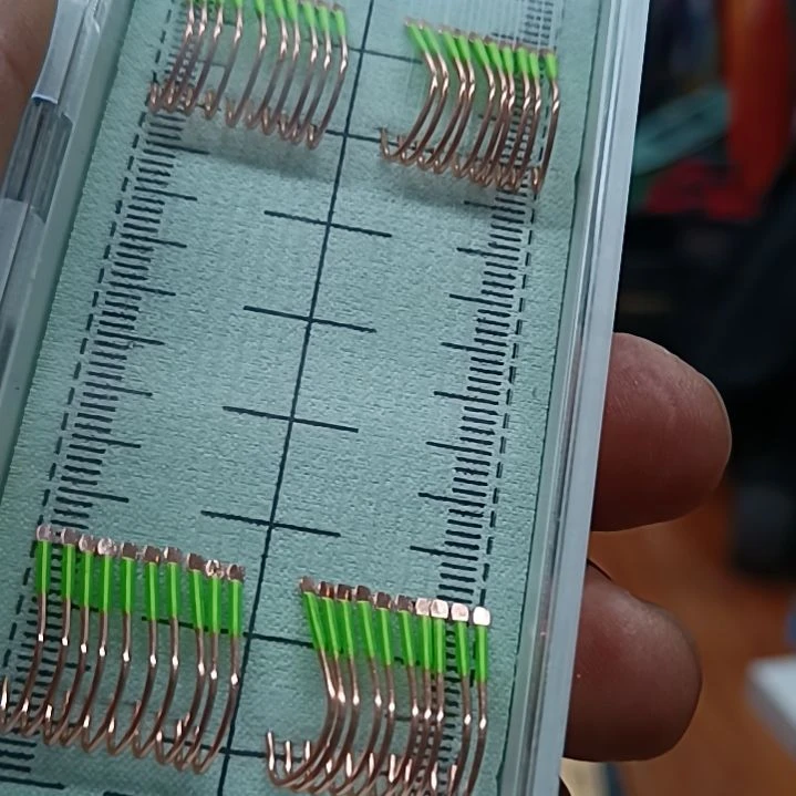 五节全新子线啊啊啊啊