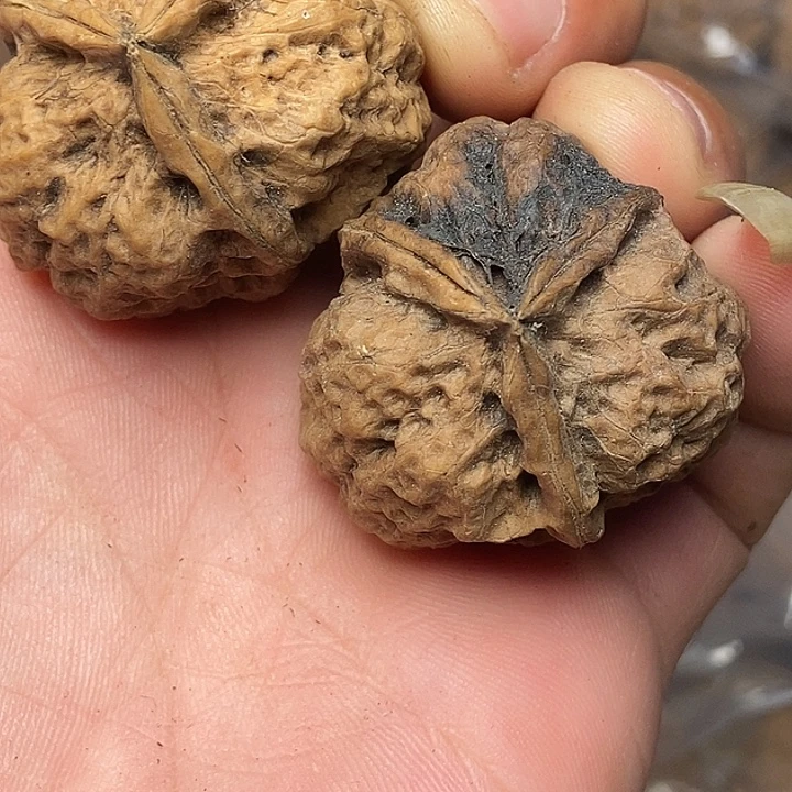 把件文玩核桃云南铁核桃96