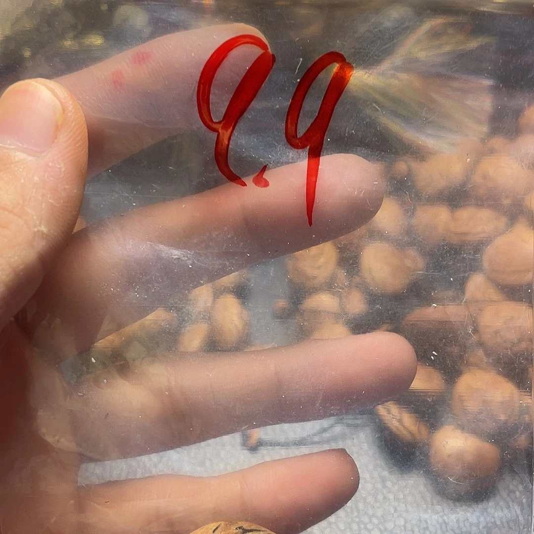 慢***李大桃核雕刻瑕疵单籽
