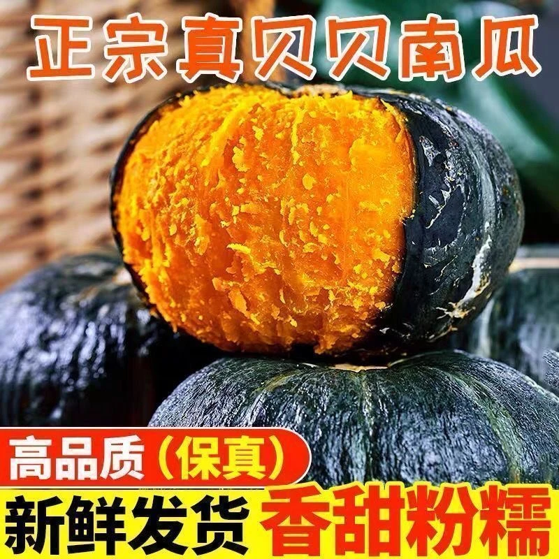 贝贝南瓜粉糯香甜板栗味代餐粗粮孕妇宝宝辅食小南瓜Y